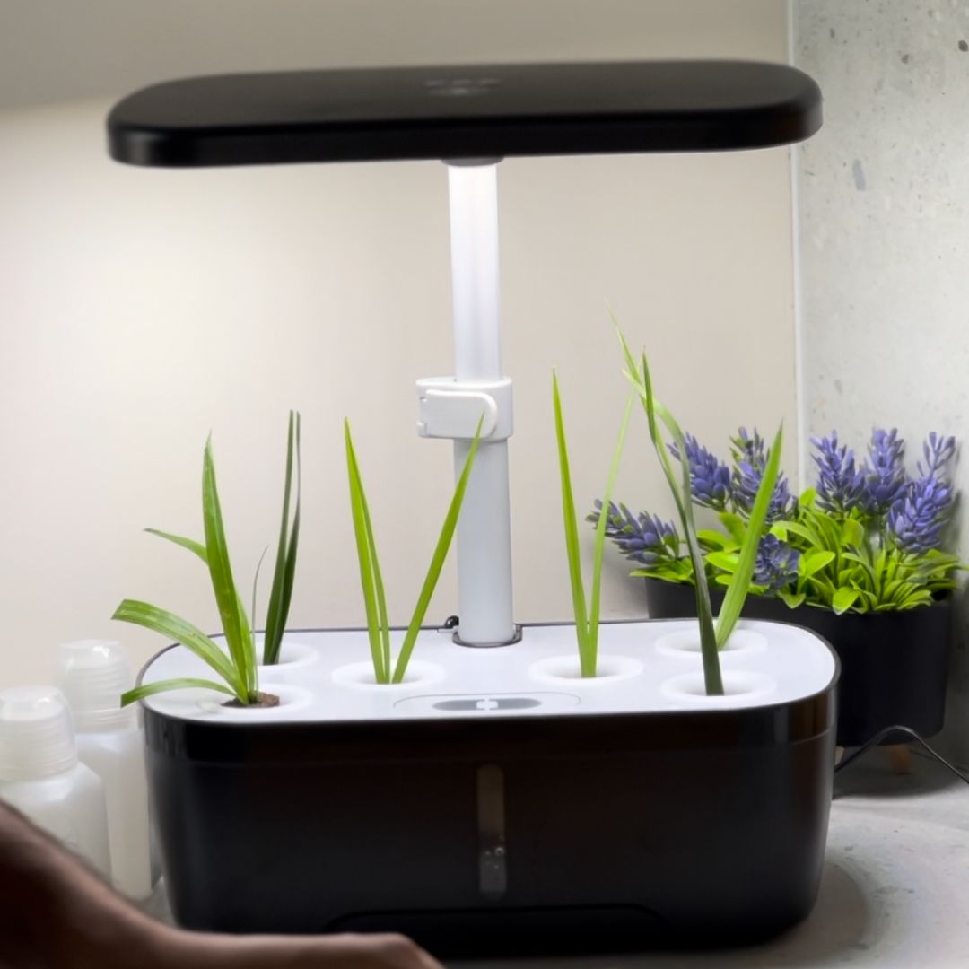 Aquarium Planter with LED Light product thumbnail 4