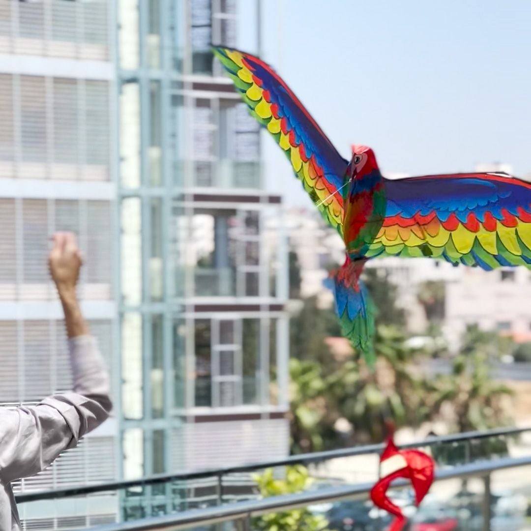 Parrot Kite product thumbnail 18