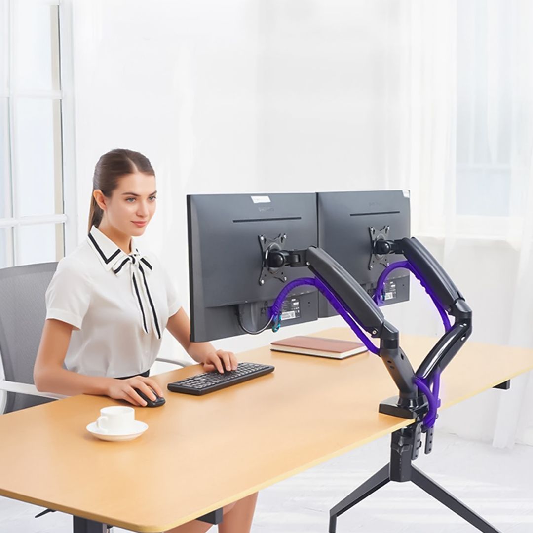 Dual Monitor Holder