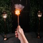 عصا هاري بوتر السحرية - 1