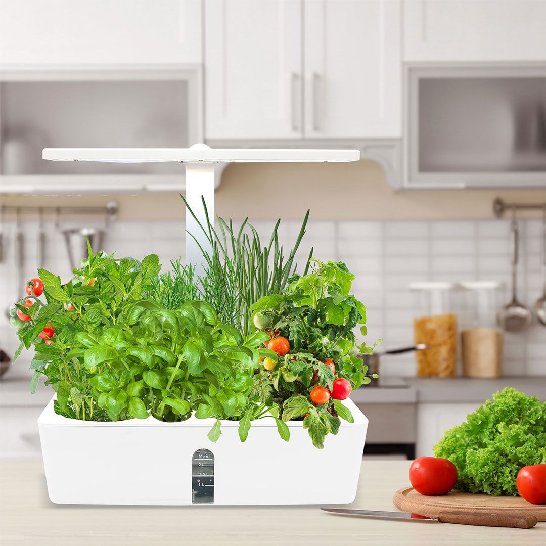 Hydroponics Pond product thumbnail 17