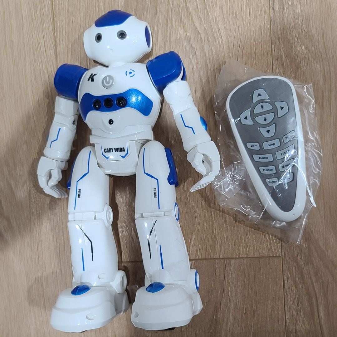 روبوت ذكي تفاعلي مع امكانية التحكم عن بُعد - 14