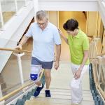 Bauerfeind Genutrain Knee Support - 17