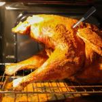 Wireless Cooking Thermometer - 29
