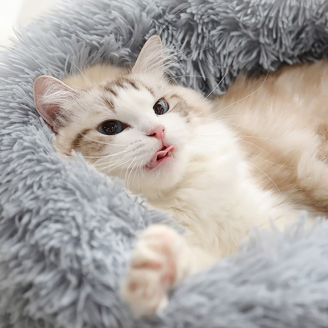 Warm Pet Bed For Winter product thumbnail 5
