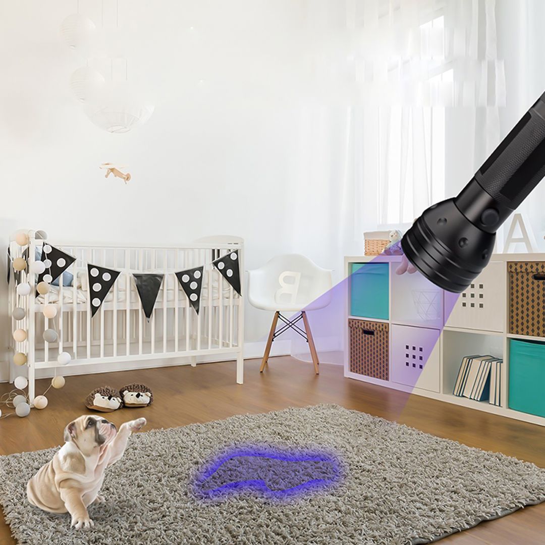Portable UV Flashlight product thumbnail 12