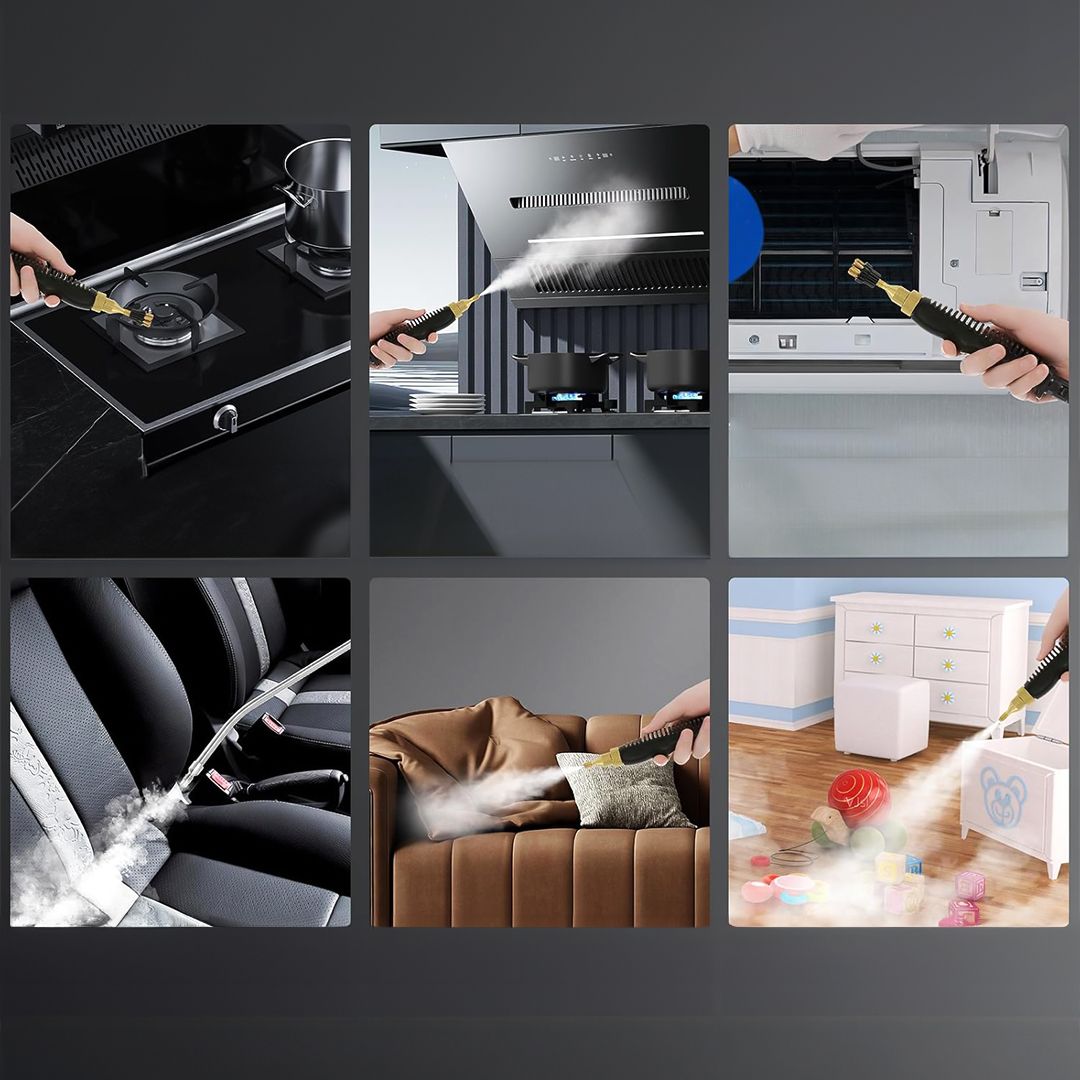 Steam Cleaning and Disinfection Device product thumbnail 10