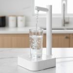 مضخة مياه أوتوماتيكية بقاعدة ثابتة