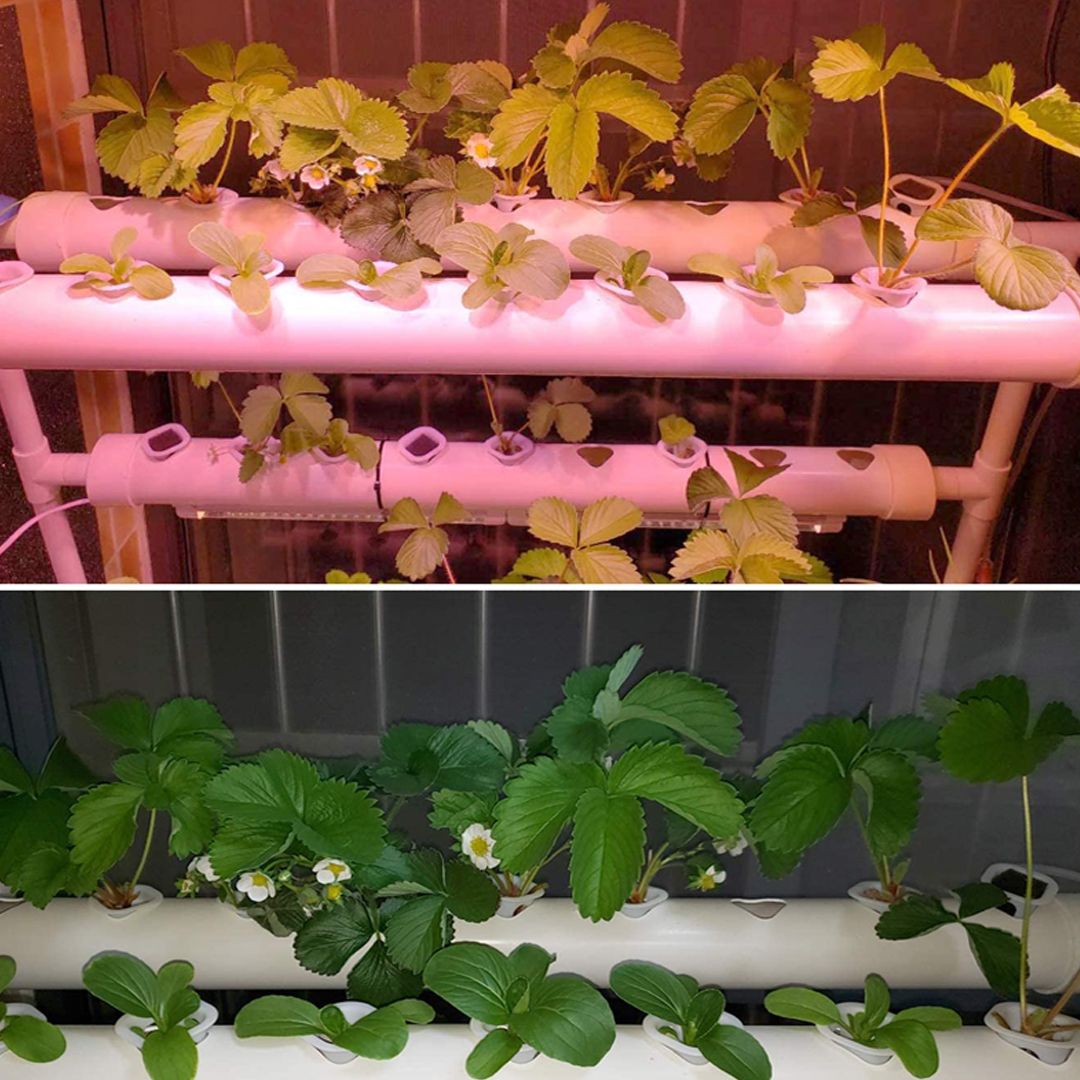 Automatic Water Planting Machine product thumbnail 13