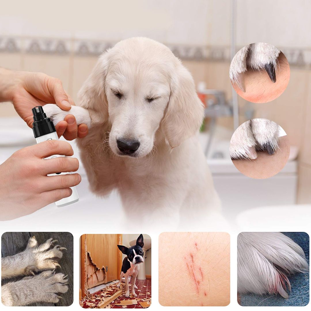 Pet Nail File product thumbnail 4