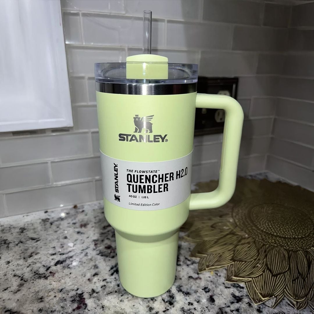 Stanley Tumbler Cup - 14