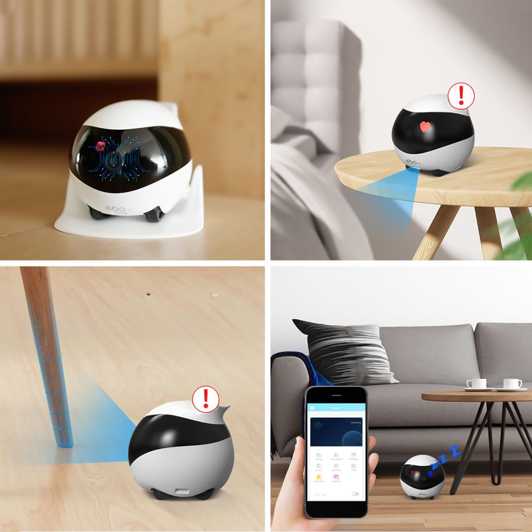 EBO Intelligent Surveillance Robot product thumbnail 7