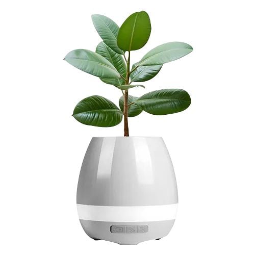Flower Pot Bluetooth Speaker With Plant product thumbnail 4