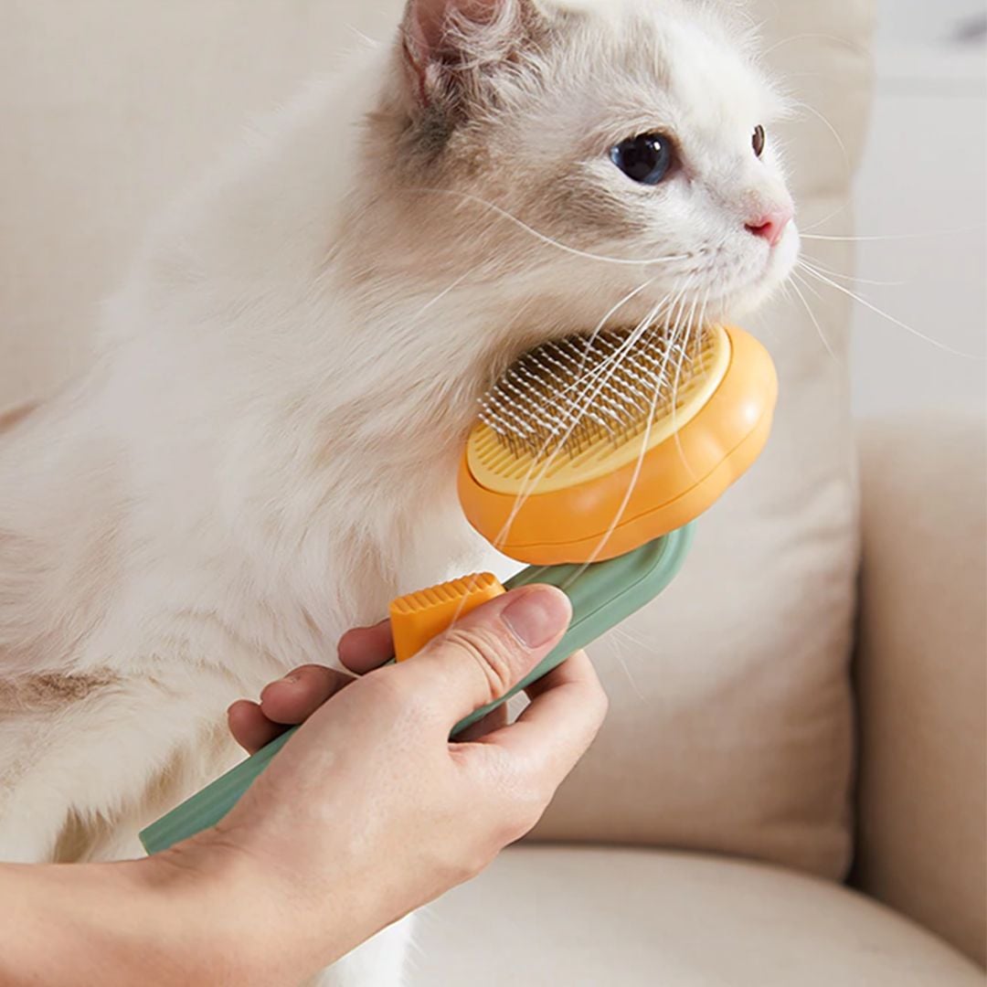 Pet Hair Remover Brush product thumbnail 19