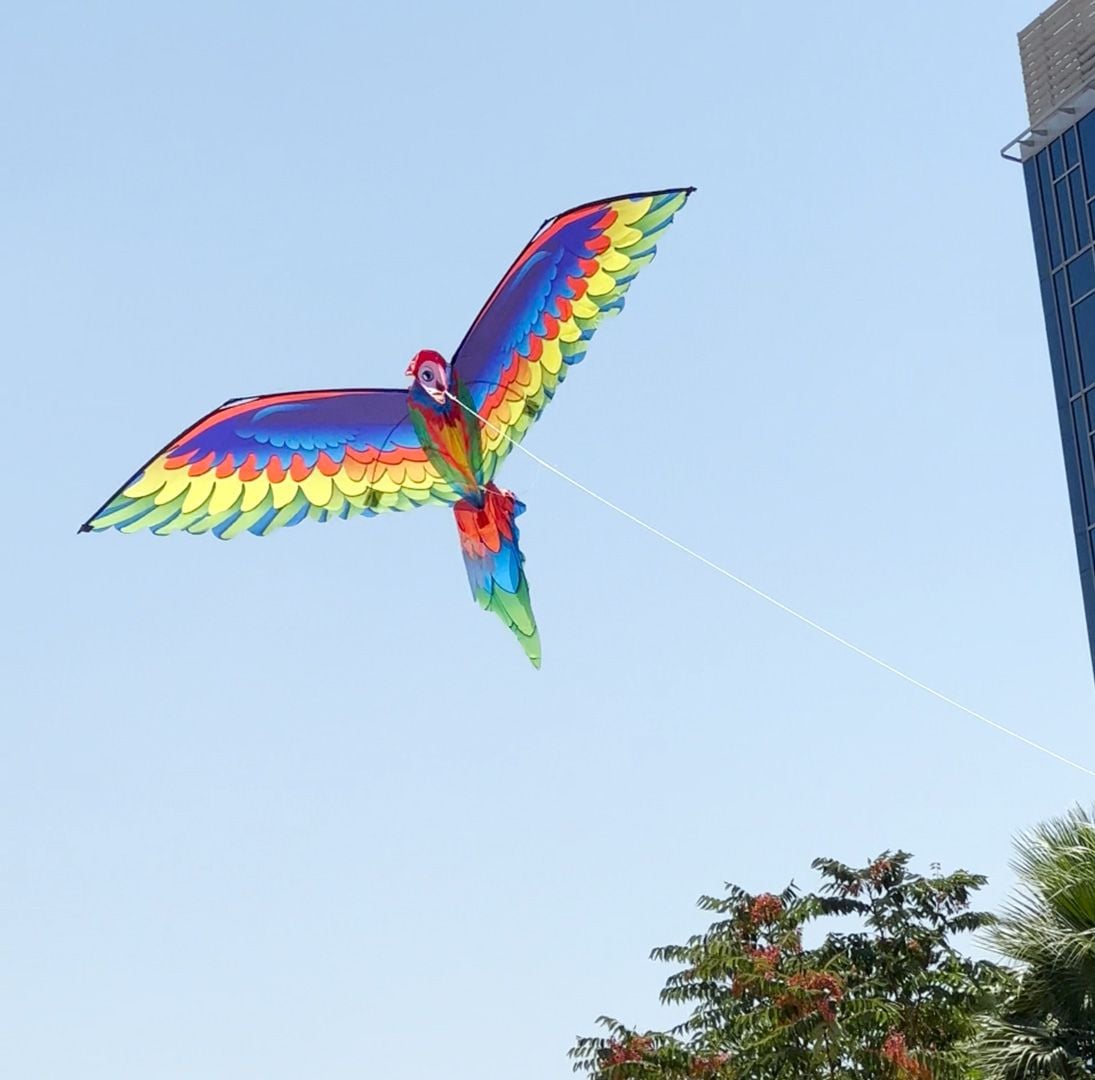 Parrot Kite product thumbnail 17