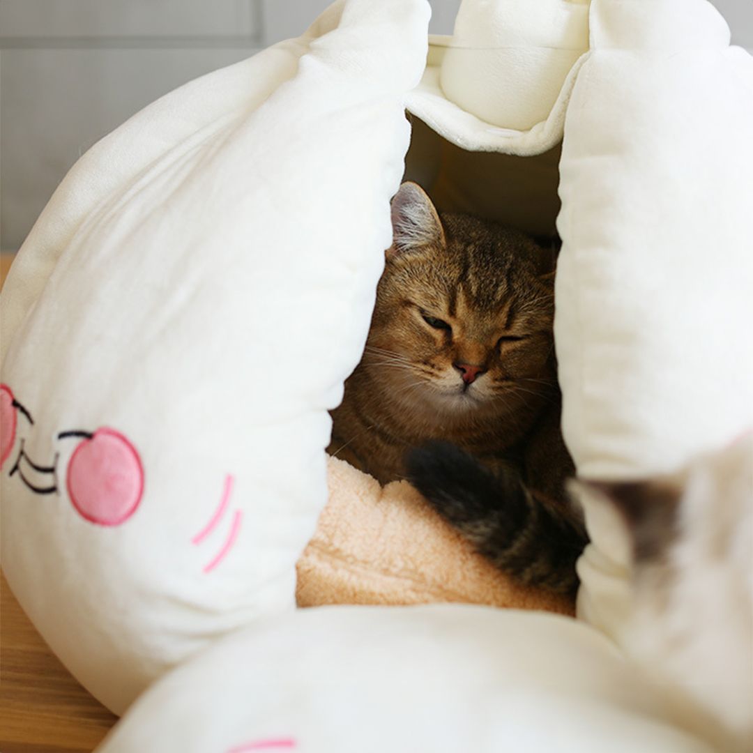 Garlic Cat Bed product thumbnail 4