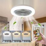 Fan with LED Light and Remote Control