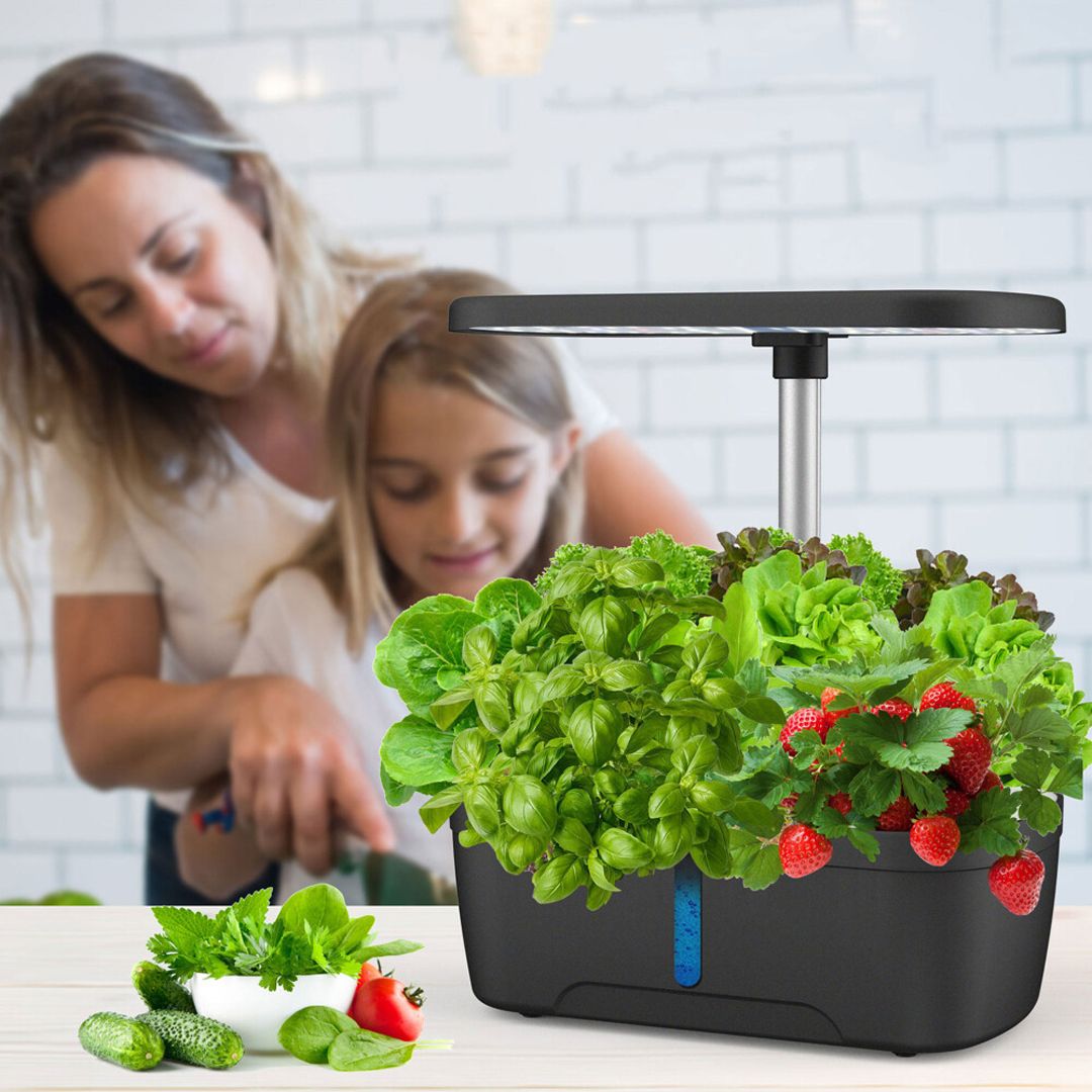 Aquarium Planter with LED Light product thumbnail 2