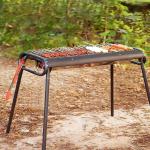 باربيكيو و منقل للنزهات - 8