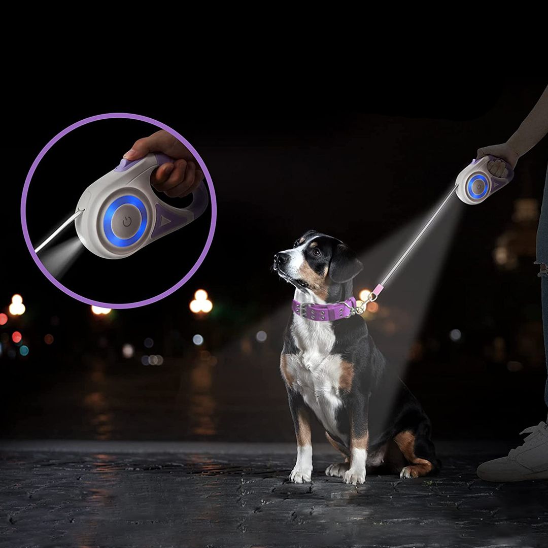 Pet Leash product thumbnail 7