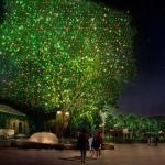 Garden Laser Light with Remote Control - 15