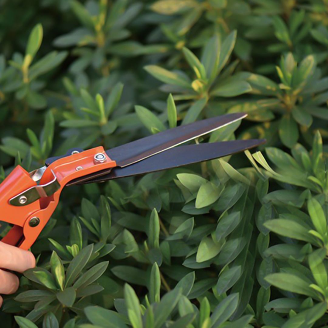 Garden Tool Set product thumbnail 4