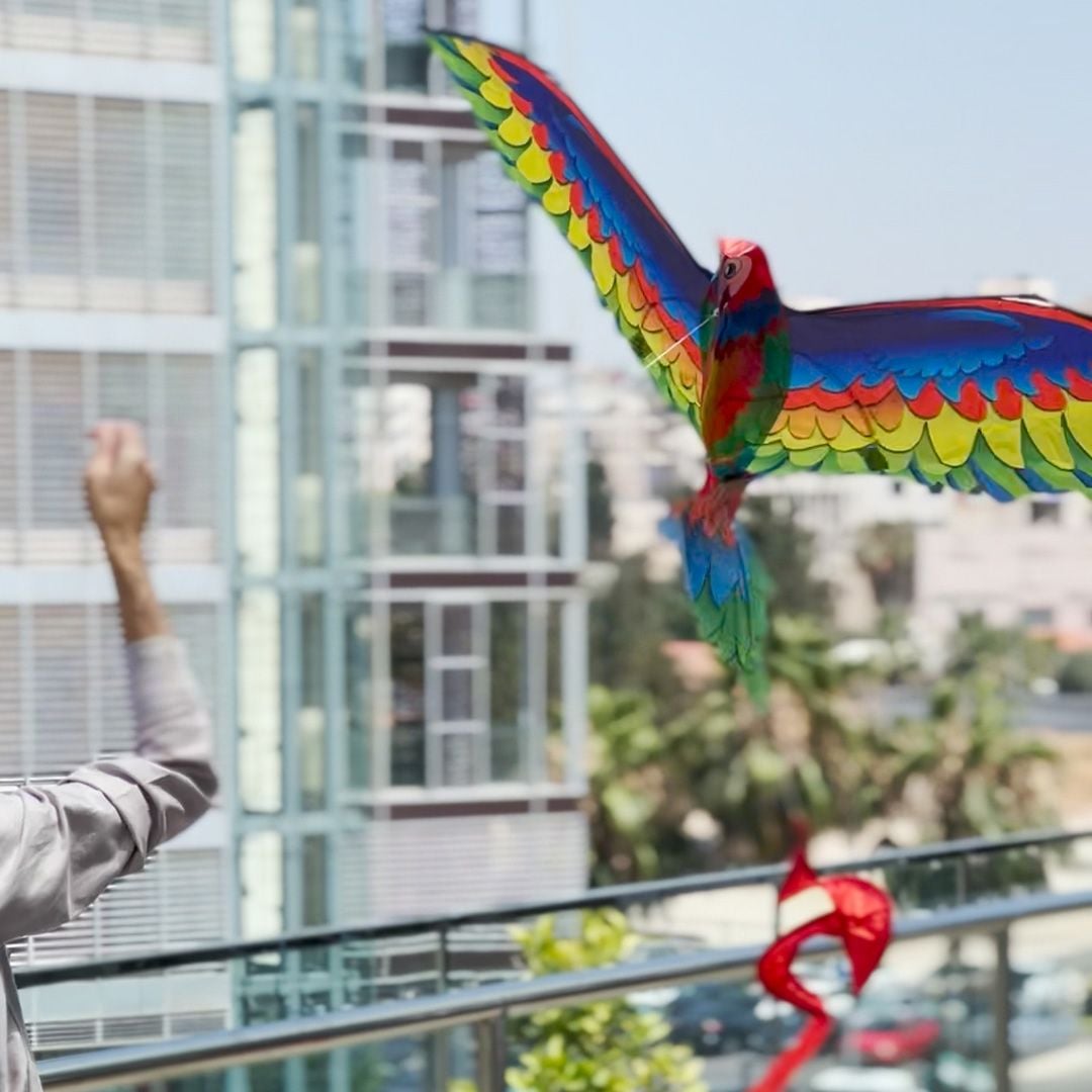 Parrot Kite product thumbnail 16