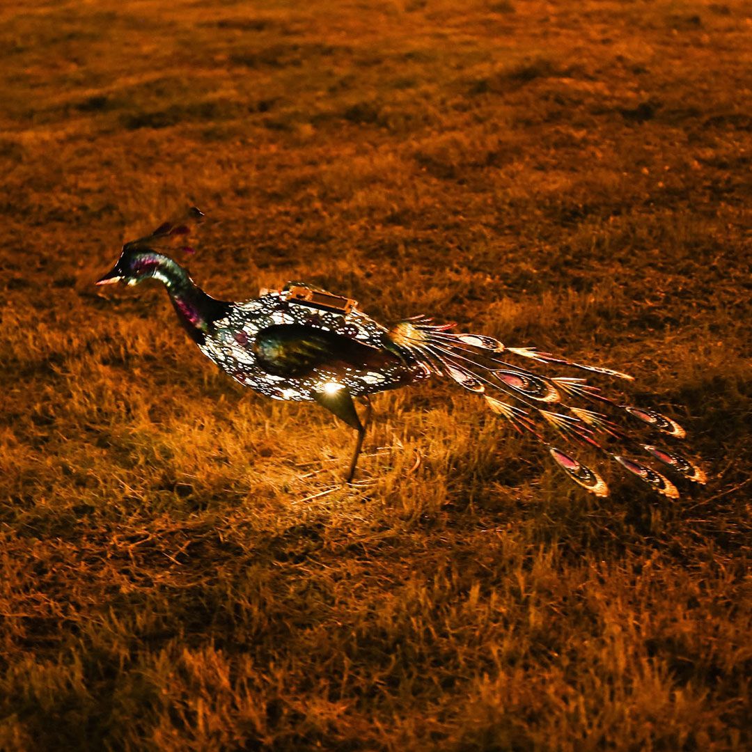 Peacock Statues with Solar Lights product thumbnail 3