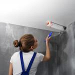 رول طلاء الجدران القابل للتعبئة - 2