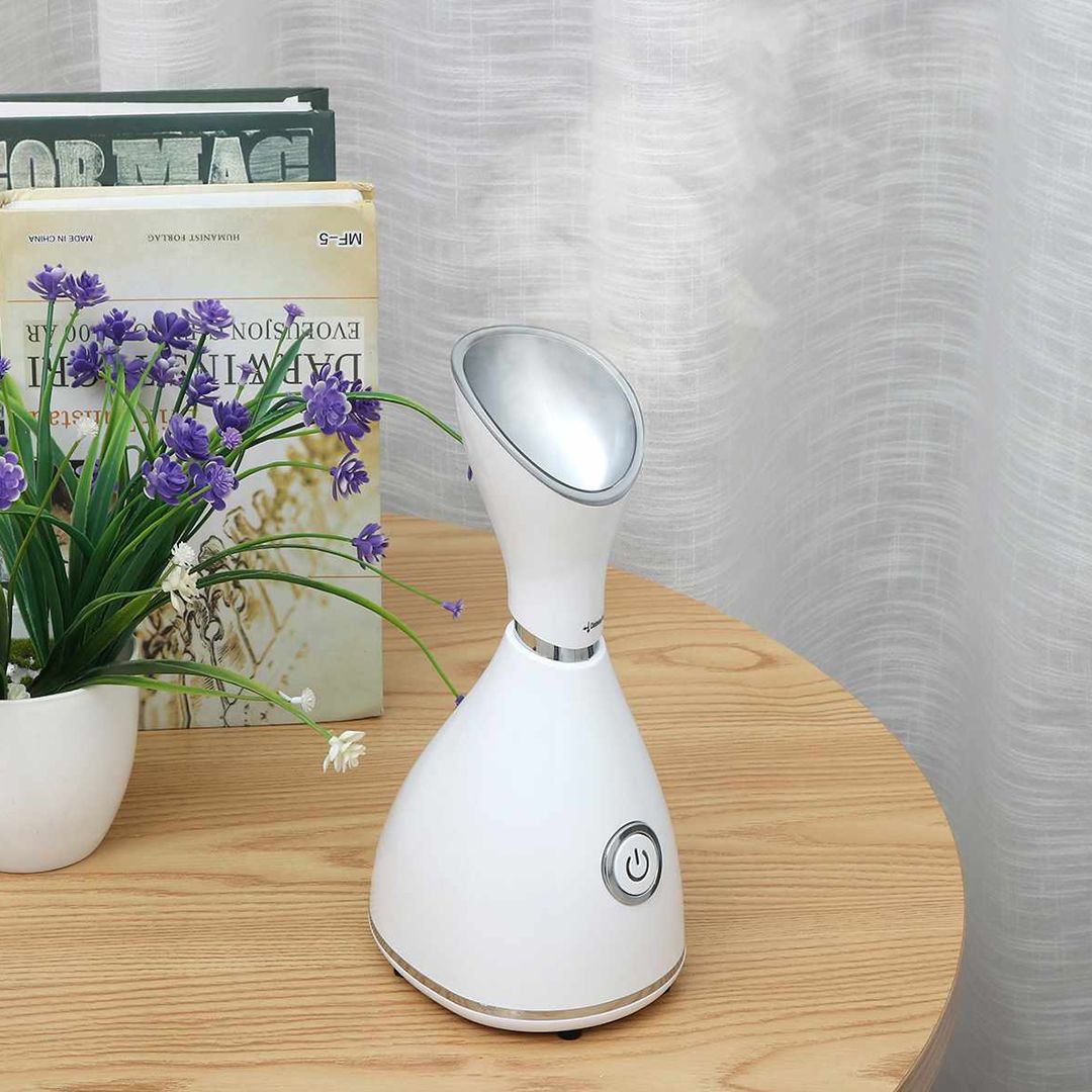 Facial Steamer - 9