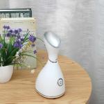 Facial Steamer - 9