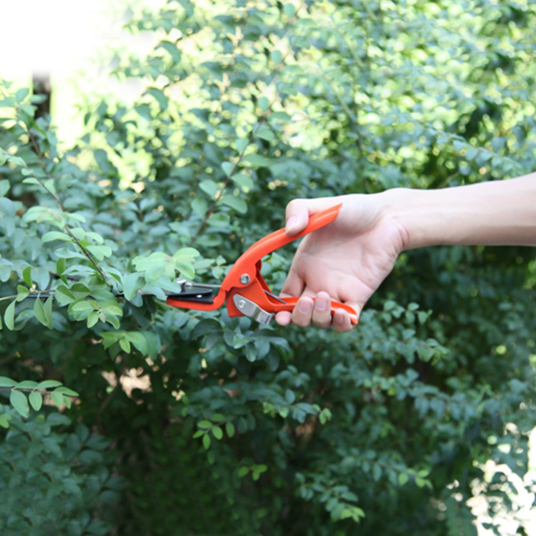Garden Tool Set product thumbnail 11