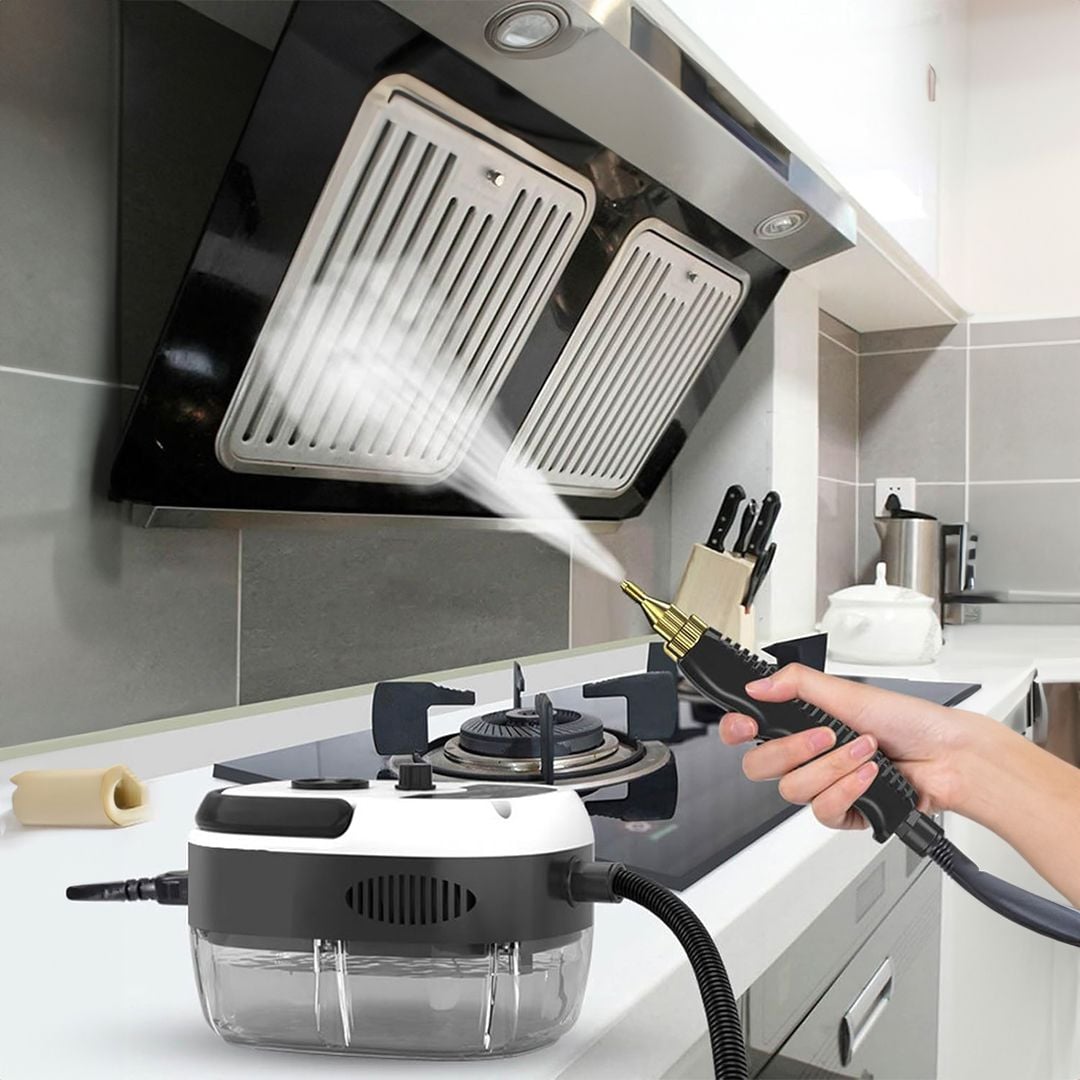 Steam Cleaning and Disinfection Device product thumbnail 2