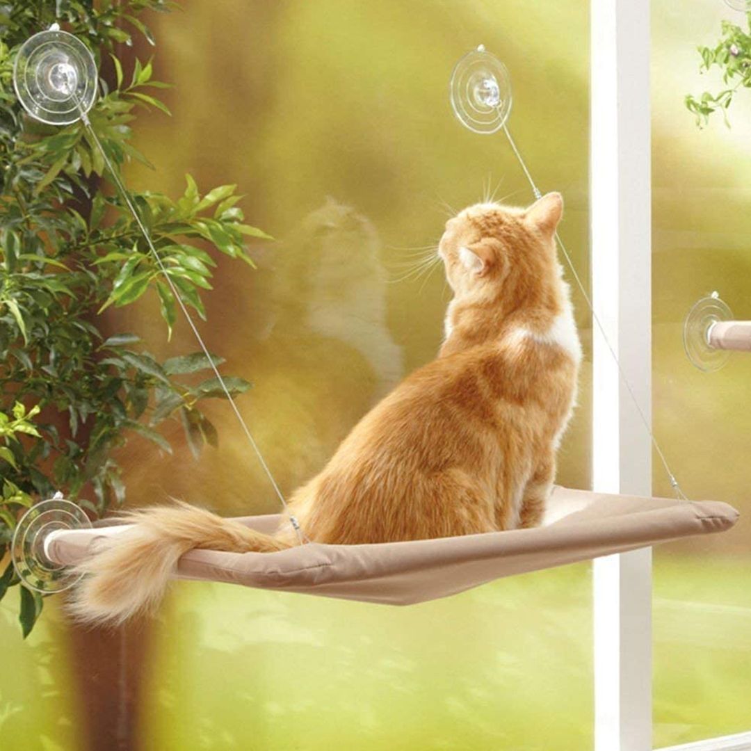 Hammock and Bed For Pets product thumbnail 13