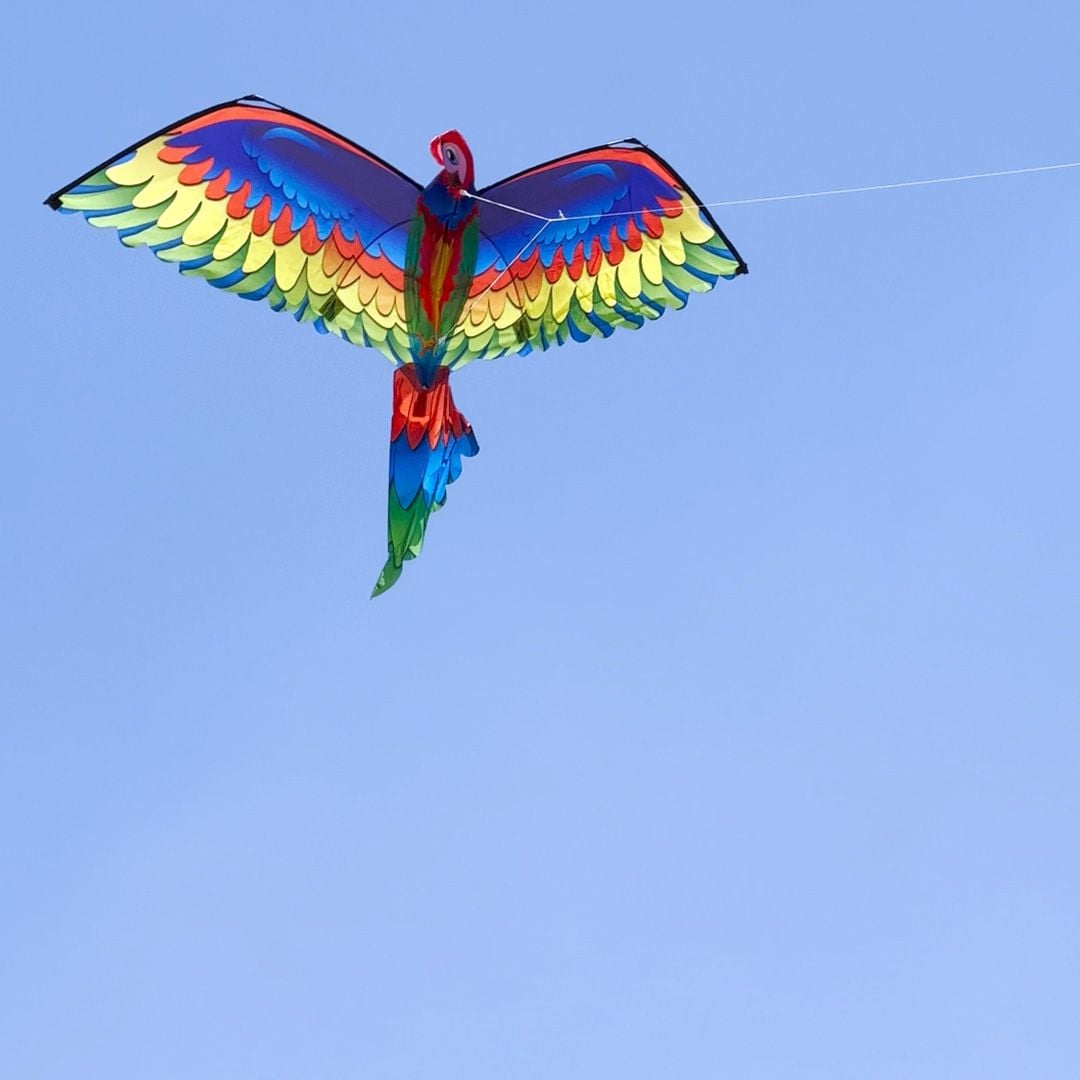 Parrot Kite product thumbnail 15