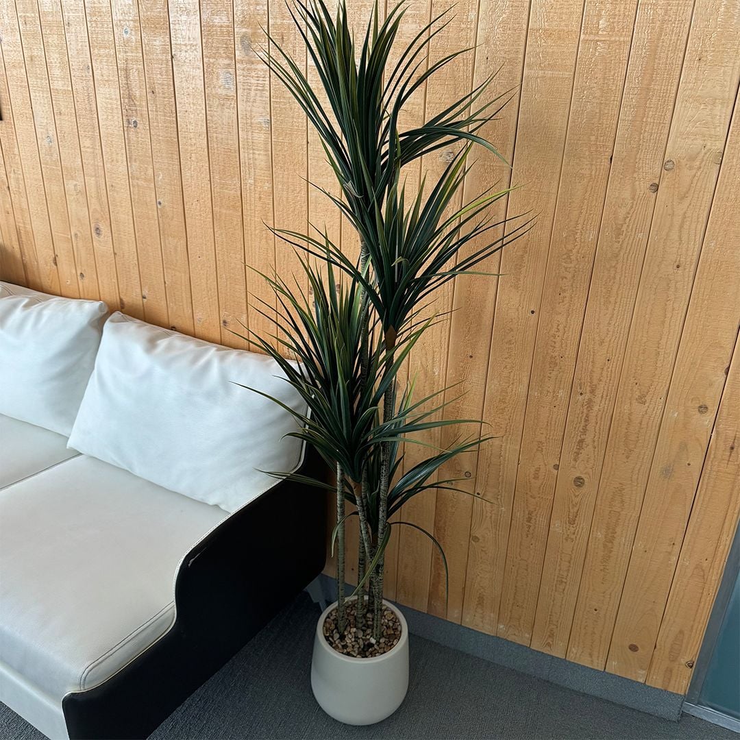 Artificial Dracaena tree product thumbnail 11