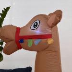 مُجسم الجمل القابل للنفخ - 7