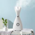 Facial Steamer