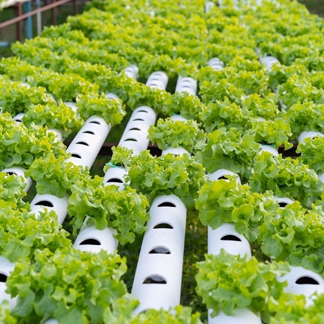 Automatic Water Planting Machine product thumbnail 6