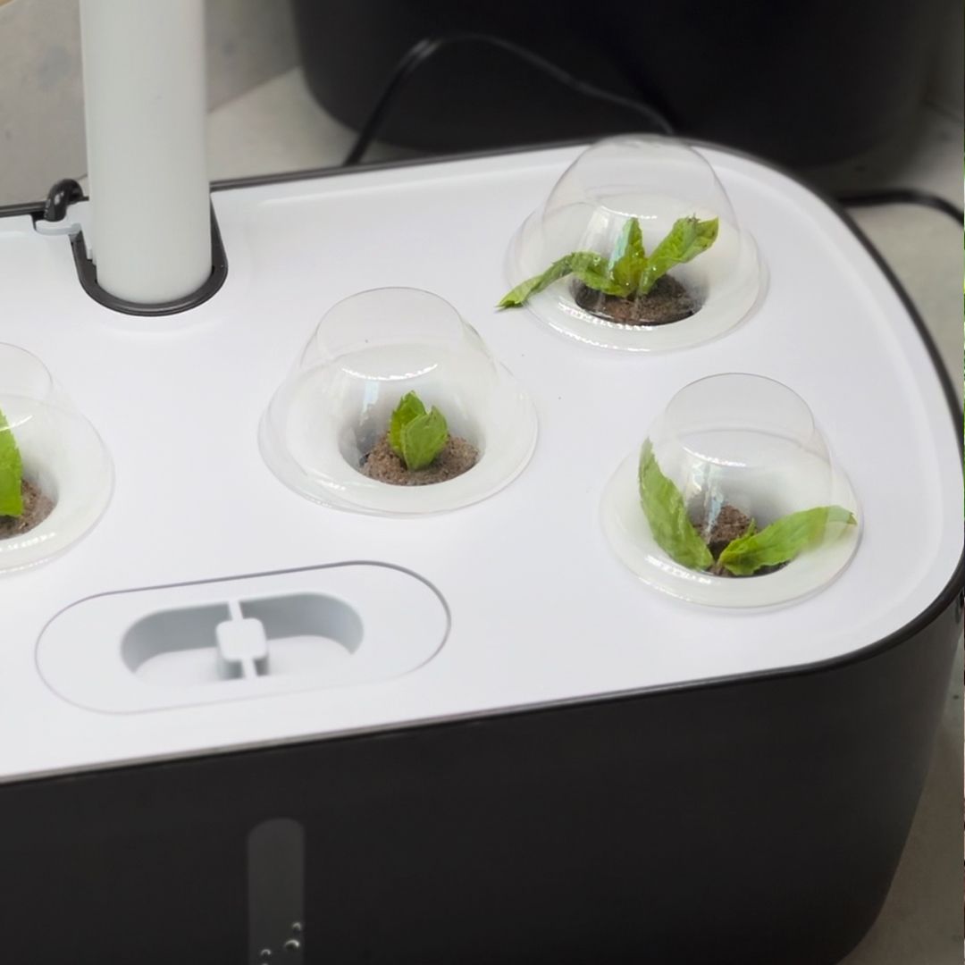 Aquarium Planter with LED Light product thumbnail 7