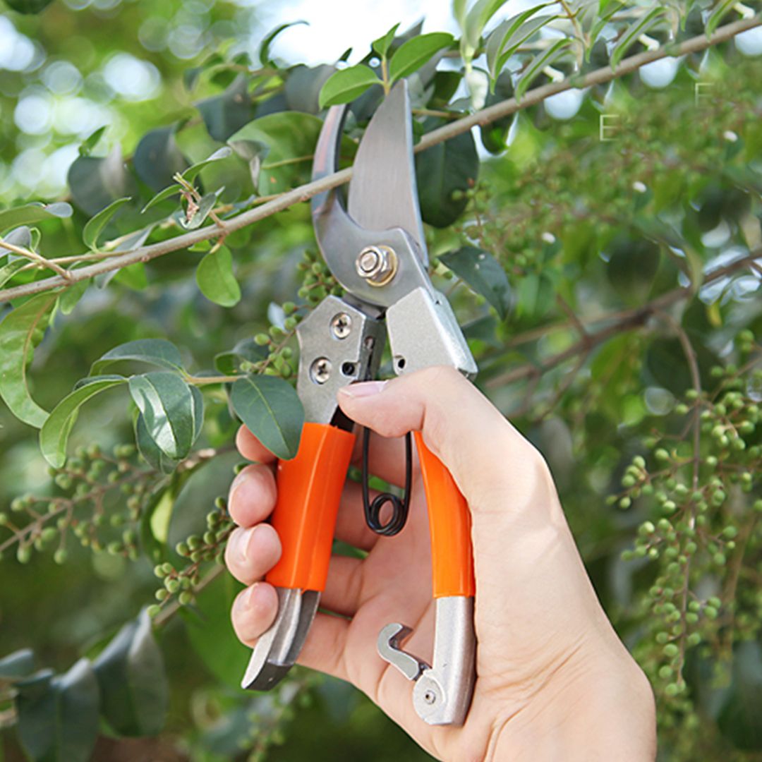 Garden Tool Set product thumbnail 13