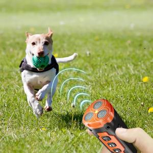 جهاز ترويض الكلاب بالموجات فوق الصوتية وكشاف مدمج