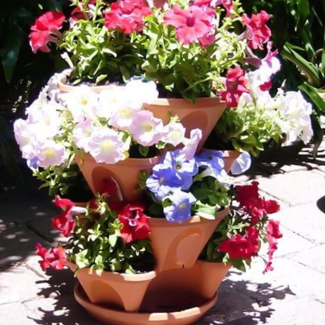 Three Layers Pot Flower product thumbnail 12