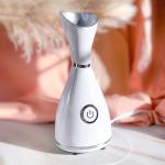 Facial Steamer - 3