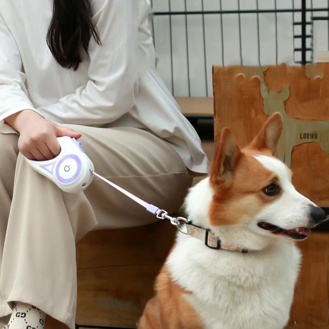 Pet Leash