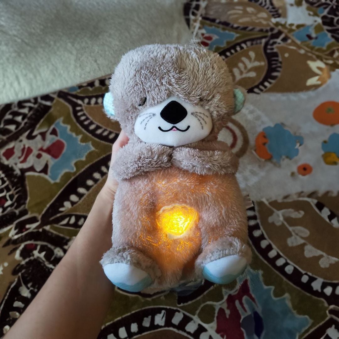 Teddy Children's Companion product thumbnail 3