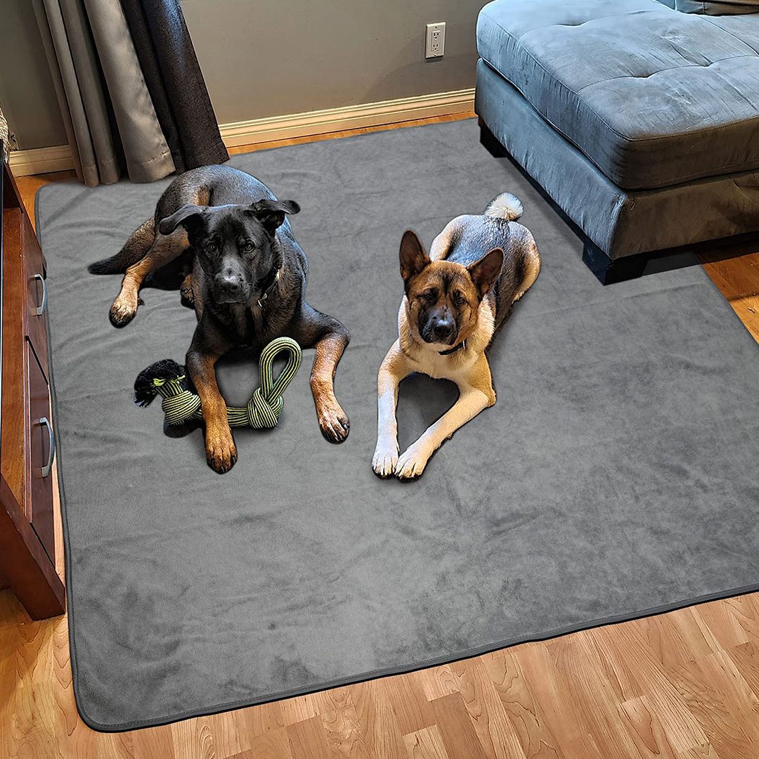 Pet Blanket product thumbnail 2