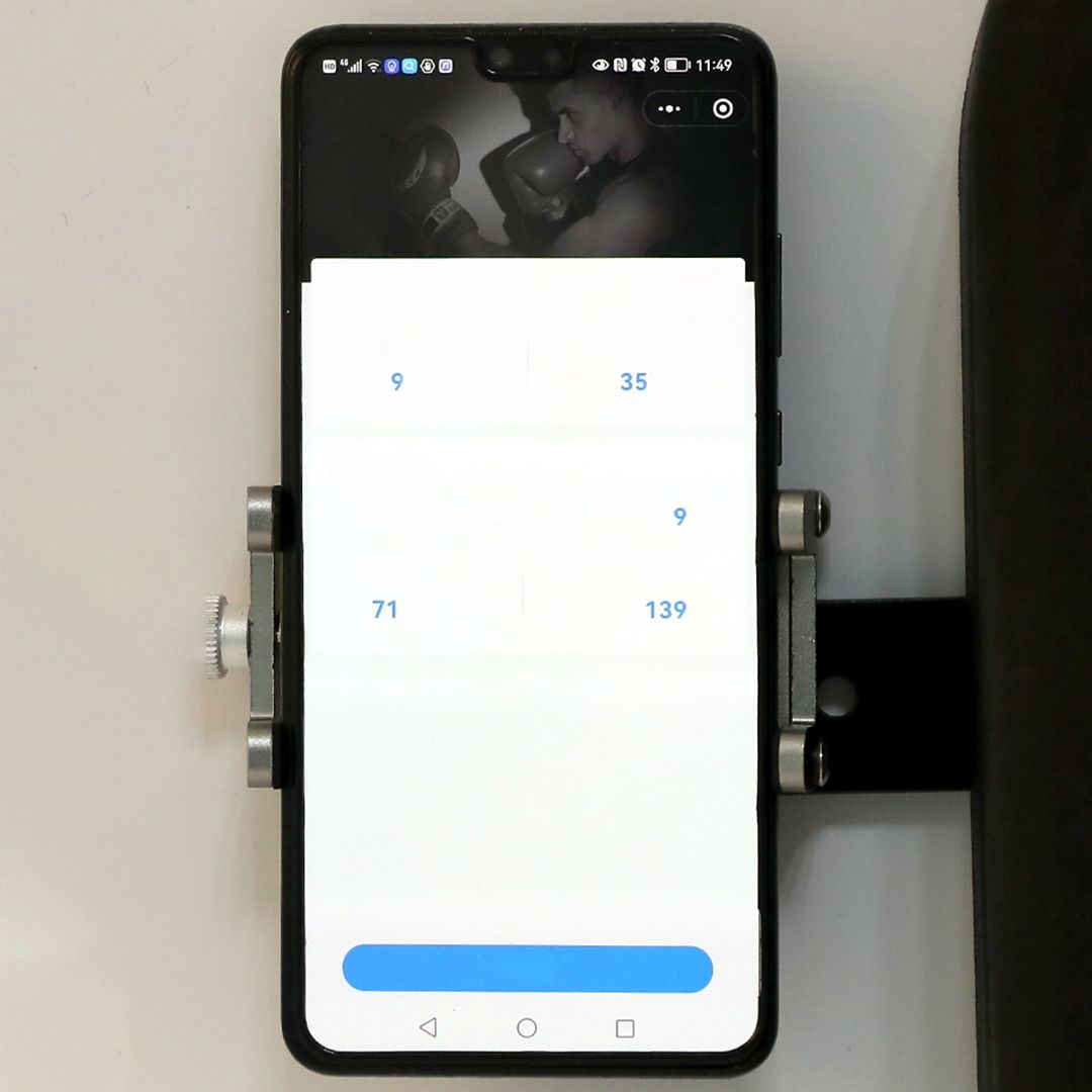 Electric Boxing Wall Target product thumbnail 6