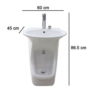 دليل المقاسات