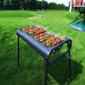 باربيكيو و منقل للنزهات - 2